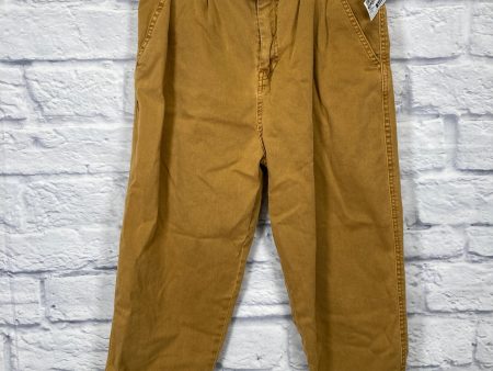 Pants Cargo & Utility By Free People In Brown, Size: 8 Sale