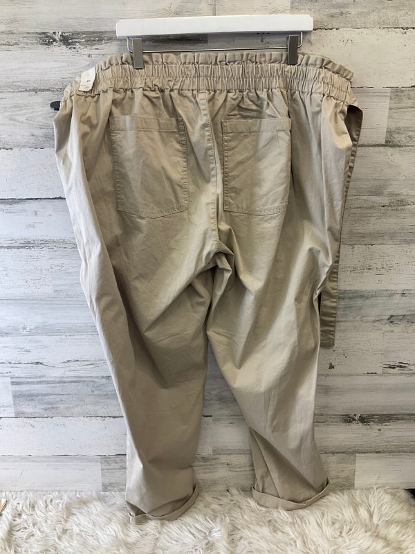 Pants Cargo & Utility By Vanilla Star In Tan, Size: 24 Supply