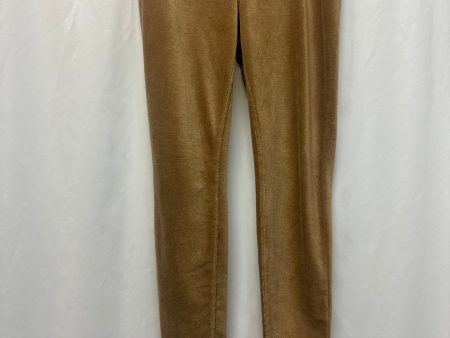 Pants Leggings By Hue In Brown, Size: L For Discount