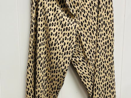 Pants Other By Premise In Chartreuse, Size: 3x Online Sale