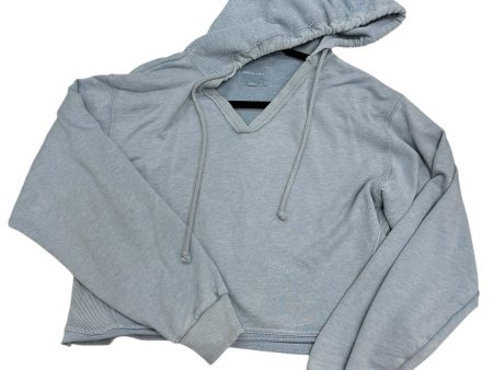 Sweatshirt Hoodie By American Eagle In Blue, Size: M Hot on Sale