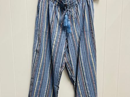 Pants Wide Leg By Clothes Mentor In Blue, Size: L Online Hot Sale