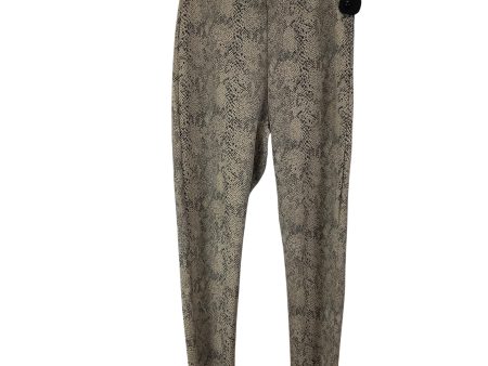 Pants Other By Philosophy In Snakeskin Print, Size: M Online Sale