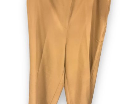 Pants Chinos & Khakis By Clothes Mentor In Brown, Size: 10 Supply