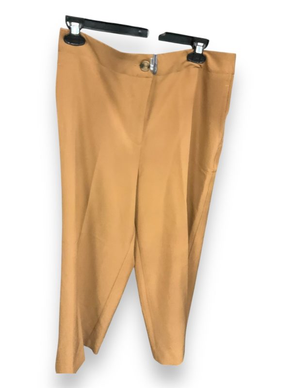 Pants Chinos & Khakis By Clothes Mentor In Brown, Size: 10 Supply