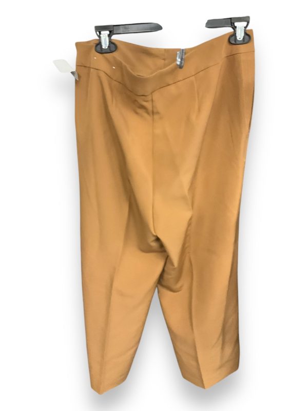 Pants Chinos & Khakis By Clothes Mentor In Brown, Size: 10 Supply