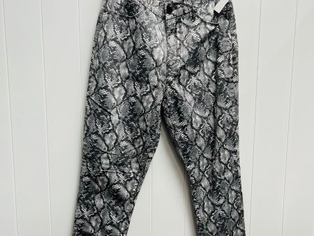 Pants Other By Seven 7 In Grey, Size: 14 Sale